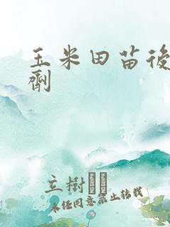 玉米田苗后除草剂