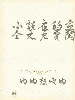 小说夜的命名术全文免费阅读免费