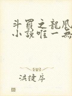 斗罗之龙凰传说小说唯一无双