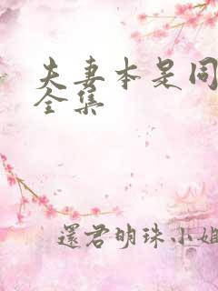 夫妻本是同林鸟全集