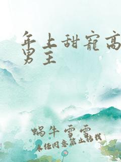 年上甜宠高h双男主