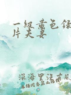 一级黄色录像影片夫妻
