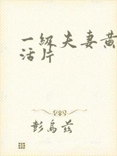 一级夫妻黄色生活片