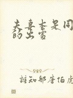 夫妻本是同林鸟的出处