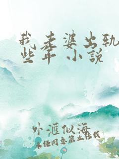 我老婆出轨的那些年 小说