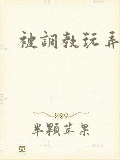 被调教玩弄小说