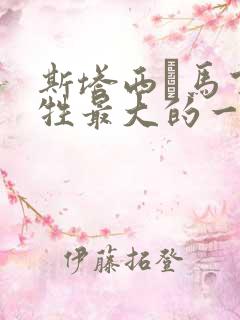 斯塔西·马丁牺牲最大的一部电影