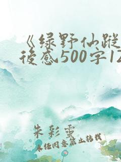 《绿野仙踪》读后感500字12篇