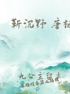 靳沉野 唐栖雾