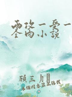 两攻一受一起做全肉小说