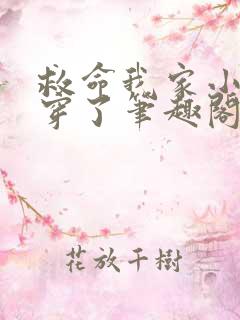 救命我家小姐被穿了笔趣阁
