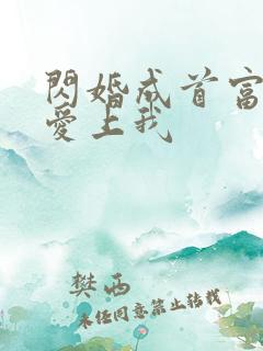 闪婚成首富大佬爱上我