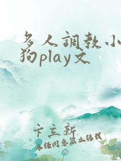 多人调教小骚母狗play文
