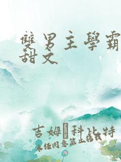 双男主学霸校园甜文