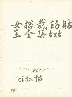 女总裁的贴身兵王全集txt