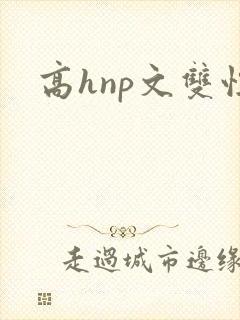 高hnp文双性