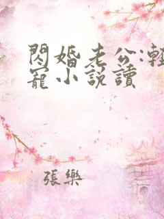 闪婚老公:轻点宠小说读