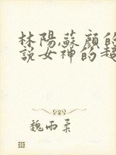 林阳,苏颜的小说女神的超级赘婿