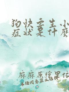 狗快要生小狗的症状是什么出现