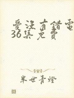 爱没有错电视剧36集免费