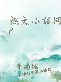 燃文小说网app