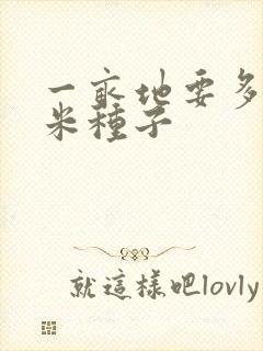 一亩地要多少玉米种子