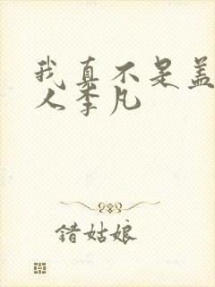 我真不是盖世高人李凡