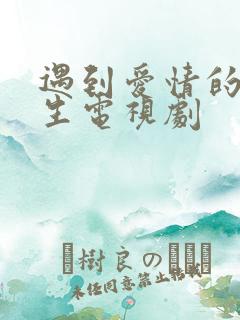 遇到爱情的利先生电视剧