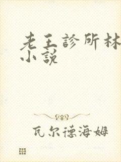 老王诊所林婉如小说