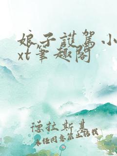 娘子护驾小说txt笔趣阁