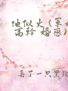 他似火 (军婚 高干 婚恋)类似小说