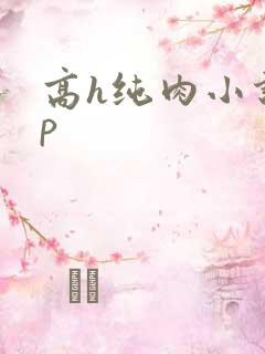 高h纯肉小说np
