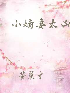 小娇妻太凶陆爷
