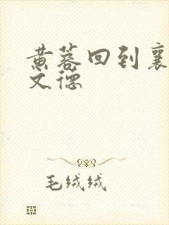 黄蓉回到襄阳吕文德