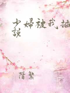 少妇被我插入小说