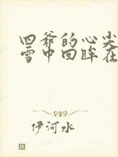 四爷的心尖宠妃雪中回眸在线阅读全文免费