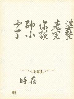 少帅你老婆又跑了小说完整版