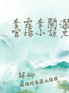 李霖李阑澜巅峰官场小说免费阅读