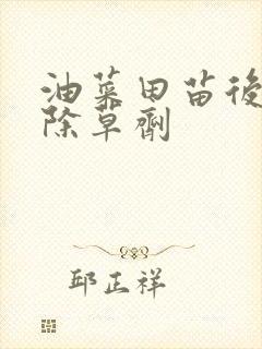 油菜田苗后专用除草剂