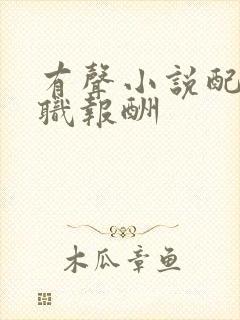 有声小说配音兼职报酬