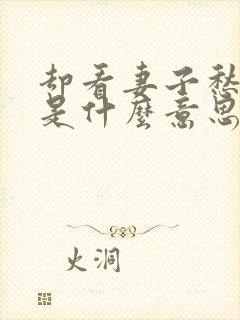 却看妻子愁何在是什么意思