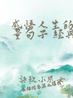 感悟人生的正能量句子 经典