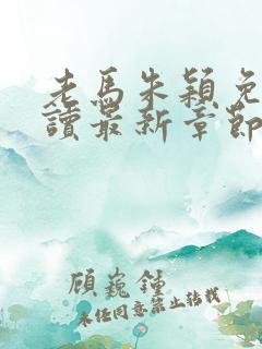 老马朱颖免费阅读最新章节小说