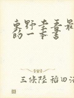 东野圭吾最好看的一本书