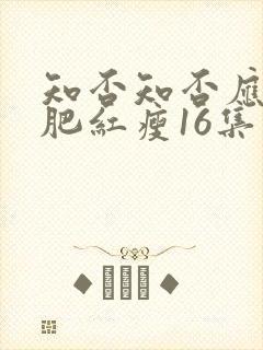 知否知否应是绿肥红瘦16集