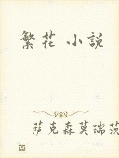 繁花 小说
