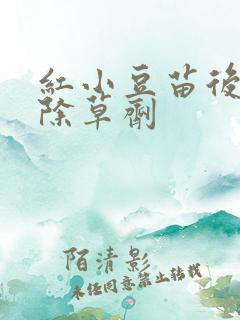 红小豆苗后专用除草剂