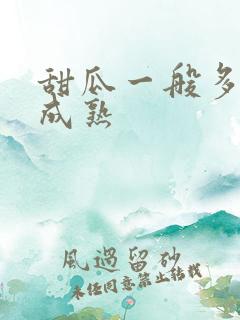 甜瓜一般多少天成熟