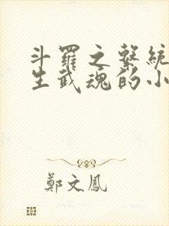 斗罗之系统送双生武魂的小说