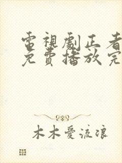 电视剧正者无敌免费播放完整版全集